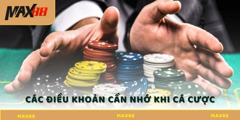 Điều khoản sử dụng Max88 & trách nhiệm của người chơi Điều khoản sử dụng cần nhớ khi tham gia chơi cá cược